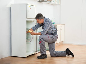 Fridge Repair